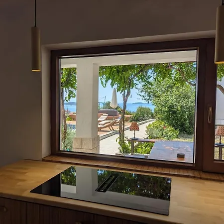 Darya * 오레비츠